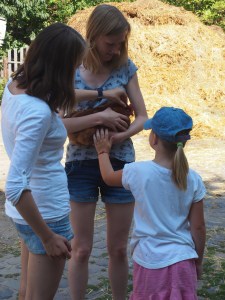 OLYMPUS DIGITAL CAMERA